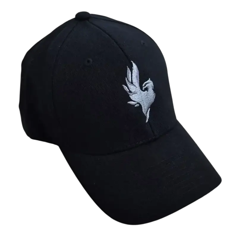 Šiltovka Phoenix Flexfit uni/black Šiltovka Phoenix Flexfit uni/grey S/M