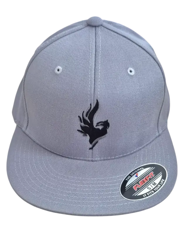 Šiltovka Phoenix Snapback Flexfit uni/grey Šiltovka Phoenix Snapback Flexfit uni/grey S/M