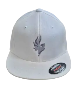 Šiltovka Phoenix Snapback Flexfit uni/white Šiltovka Phoenix Snapback Flexfit uni/white S/M